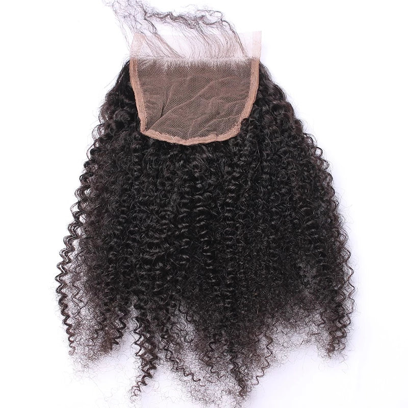 Afro Kinky Curly Bundles with Closure