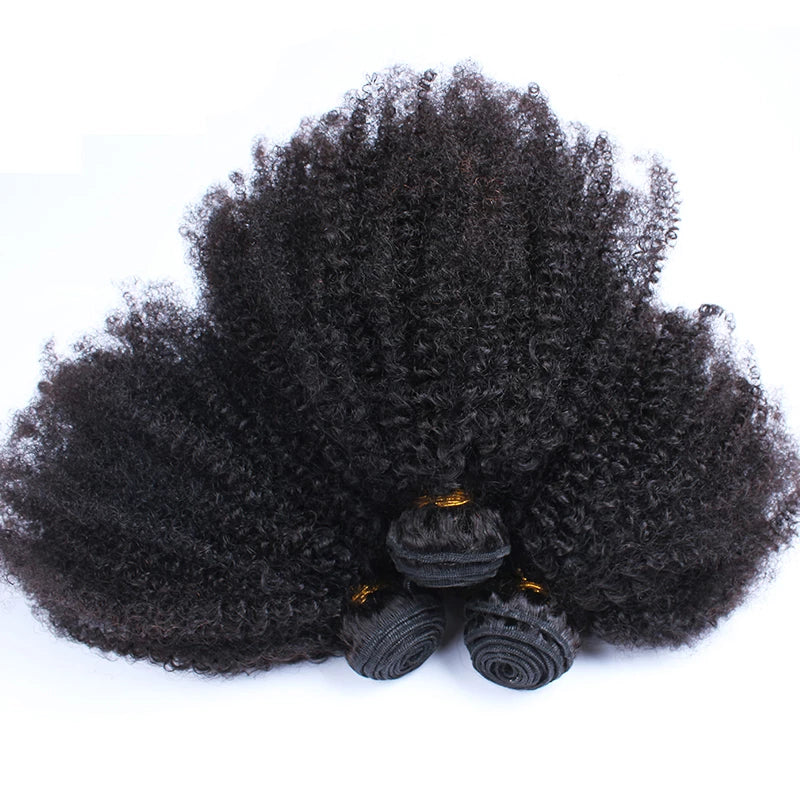 Afro Kinky Curly Bundles with Closure